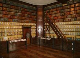 Troyes : quatre musées gratuits jusqu’au 31 mars