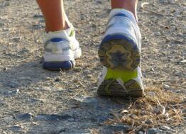 Marathon du patrimoine de Troyes : il est encore temps de s'inscrire