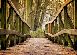 8 promenades urbaines à Lorient