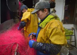 “Kelly femme et marin-pêcheur” :  reportage à bord du fileyeur Fleur des Vagues