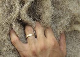 A Bar-sur-Aube, la Chanvrière fait rayonner la production de chanvre dans le monde