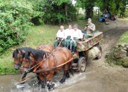 For the 75th anniversary of the Battle of Normandy, the cavalry will parade at Montormel