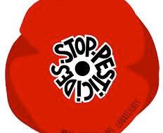 Depuis le 26 septembre 2019, la ville de Cherbourg s’engage dans le mouvement  "Nous voulons des coquelicots "