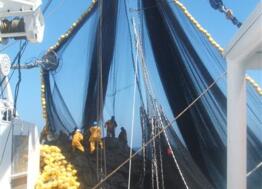 La société Le Drezen implante son atelier son atelier de préparation de câbles à Lorient-Keroman