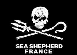 Sea Shepherd abrirá su primer centro de atención en Bretaña