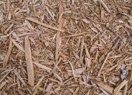 Charwood Energy, la biomasse qui révolutionne la transition énergétique