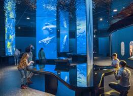 La Cité de la Mer, locomotive touristique du Cotentin