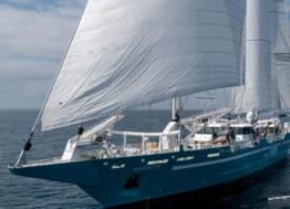 Towt accélère l’extension de sa flotte de voiliers-cargos