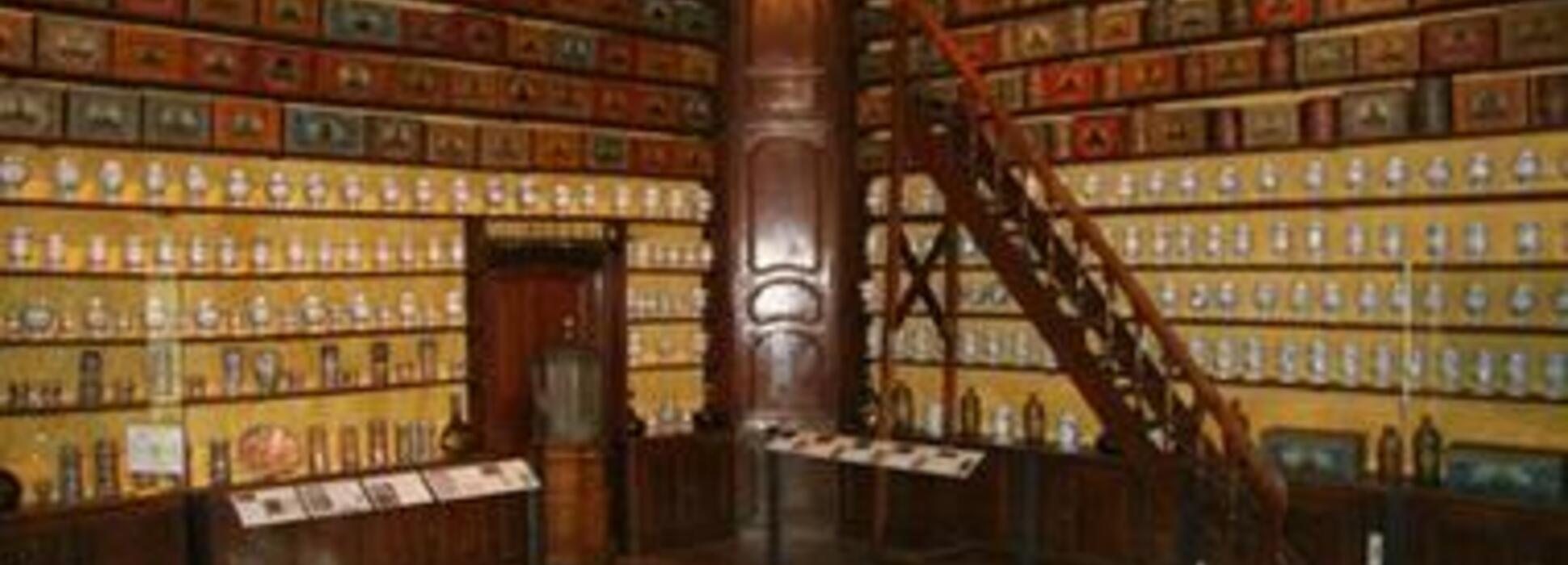 Troyes : quatre musées gratuits jusqu’au 31 mars