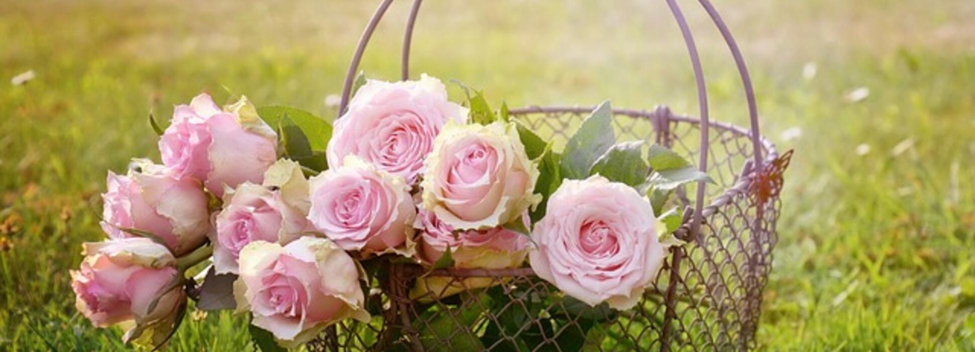 Cherbourg prépare sa 8ème édition de Presqu'île en fleurs