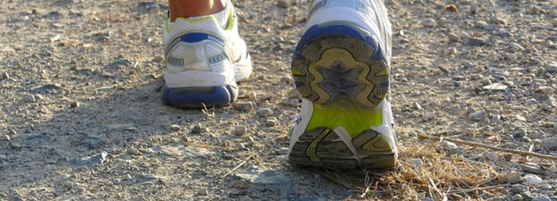 Marathon du patrimoine de Troyes : il est encore temps de s'inscrire