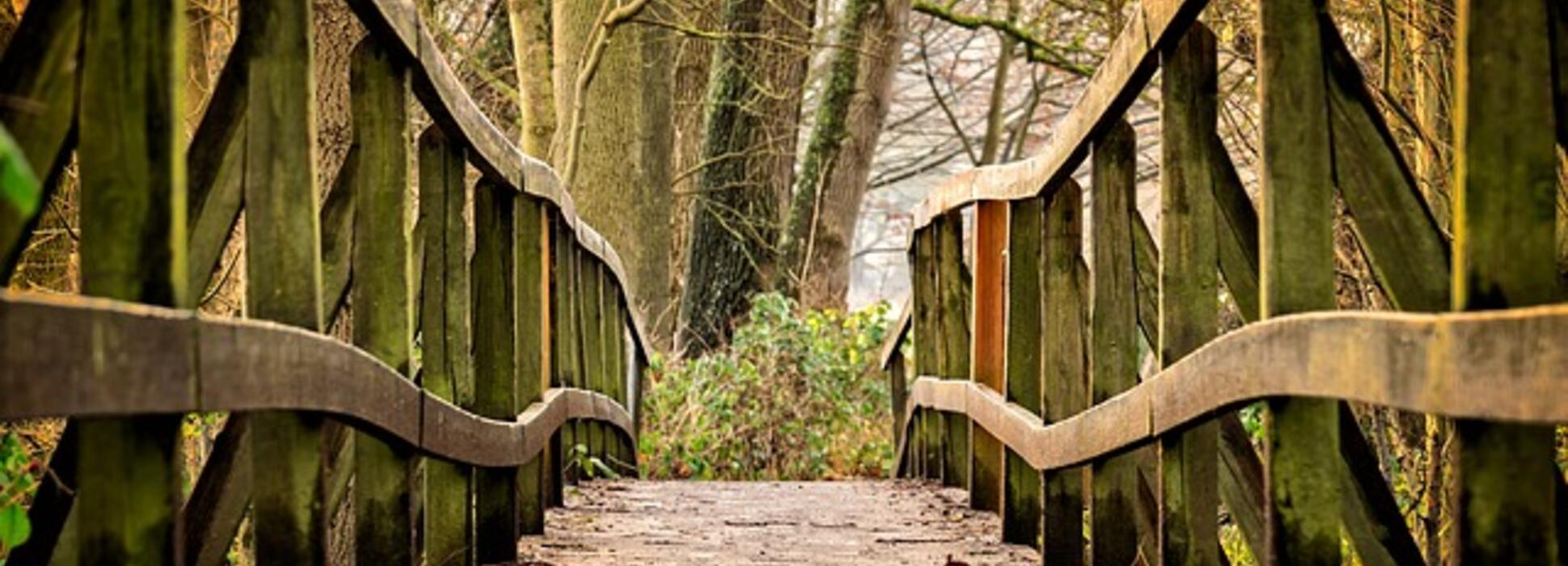 8 promenades urbaines à Lorient