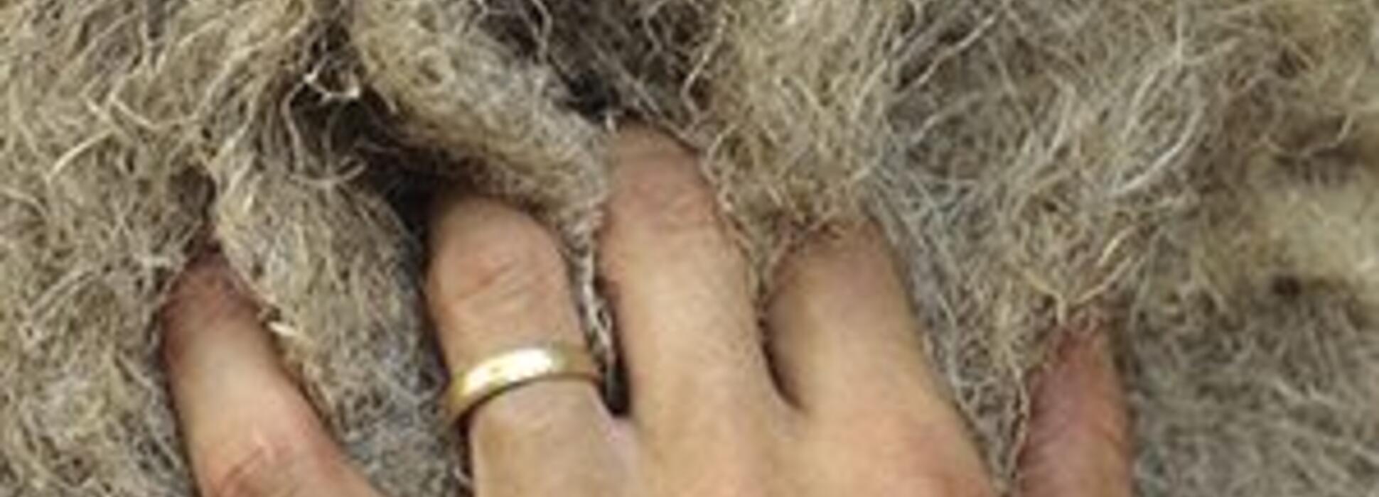 A Bar-sur-Aube, la Chanvrière fait rayonner la production de chanvre dans le monde