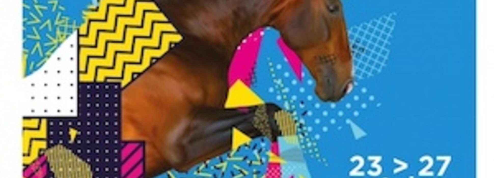 EQUIDAYS,  ou 5 jours pour fêter le cheval dans le Calvados du 23 au 27 octobre 2019