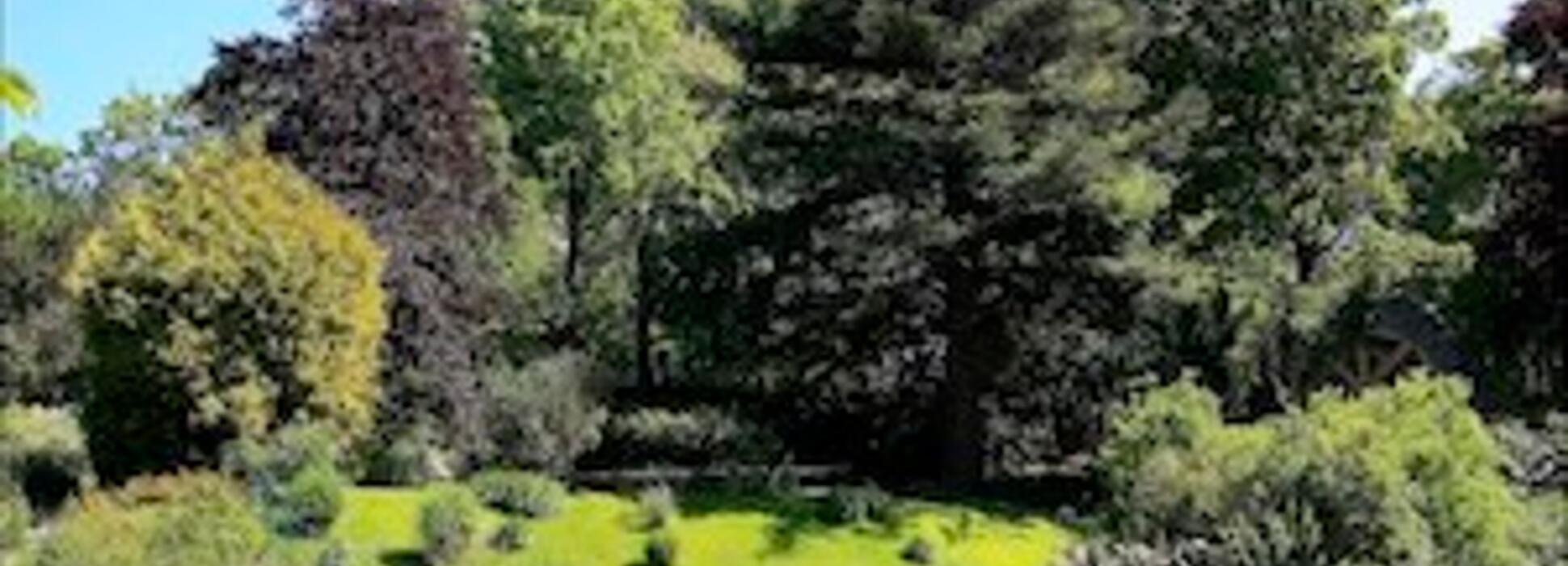 Cherbourg-en-Cotentin est la troisième ville moyenne la mieux gérée de France, selon un classement publié dans le Point