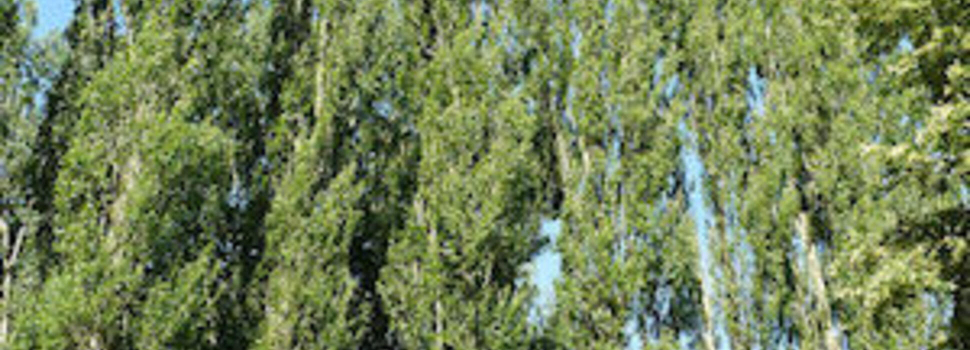 Le groupe espagnol GARNICA s’implante à Troyes dans l’Aube