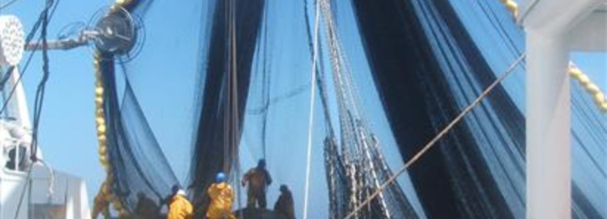 La société Le Drezen implante son atelier son atelier de préparation de câbles à Lorient-Keroman