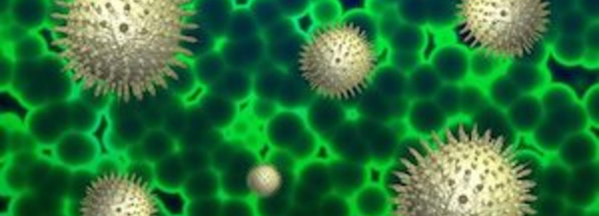 Les Aubois fabriquent des visières de protection contre le Covid-19 avec leur imprimante 3D