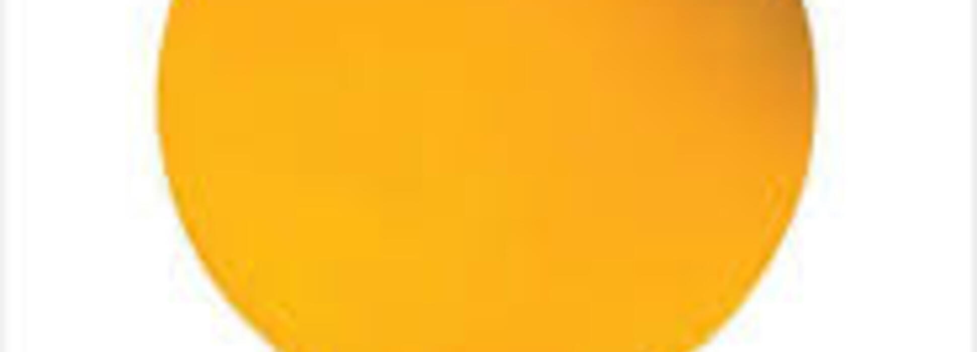 Calvados: the Museum of Fine arts of Caen reopens its doors on December 15, 2020