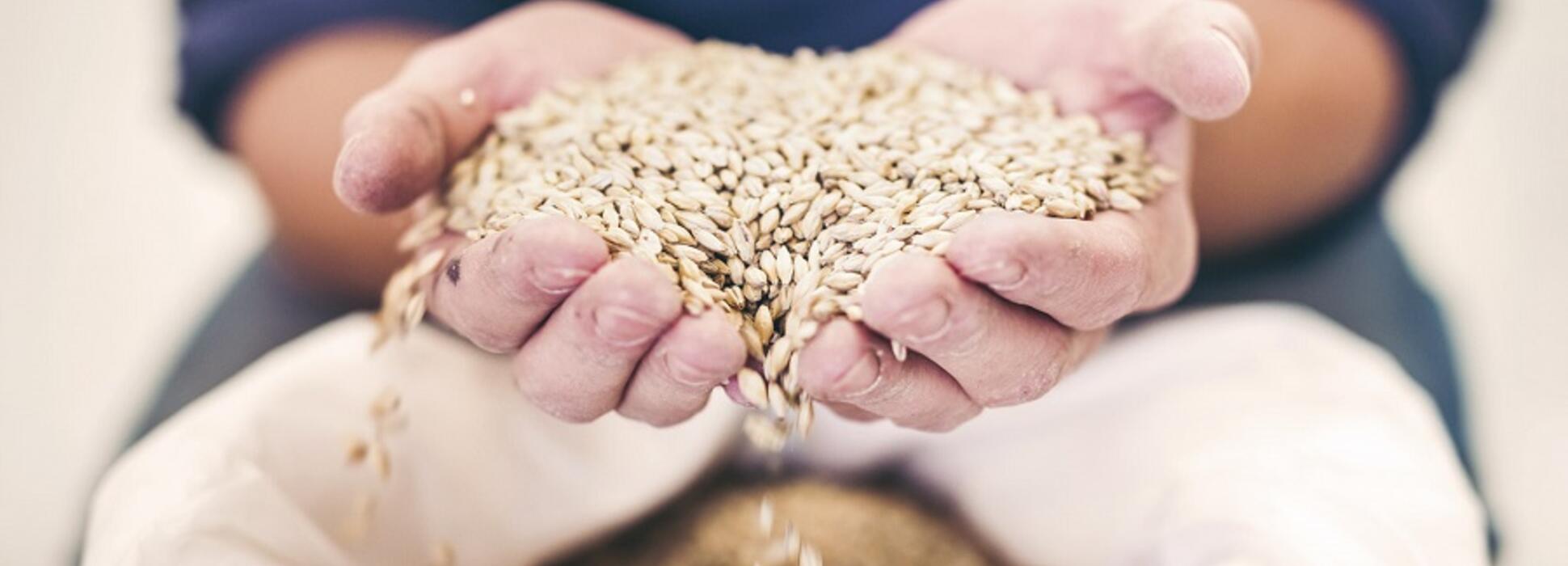 Le groupe agroalimentaire Soufflet renforce son action pour l’environnement