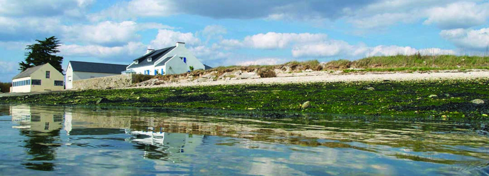Découvrez la biodiversité près de Lorient
