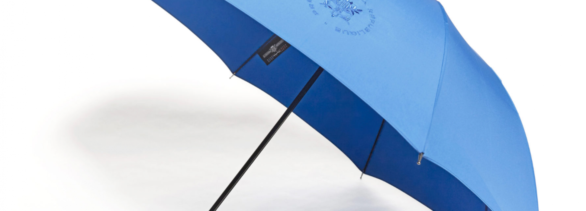 Le Parapluie de Cherbourg entre à l’Elysée