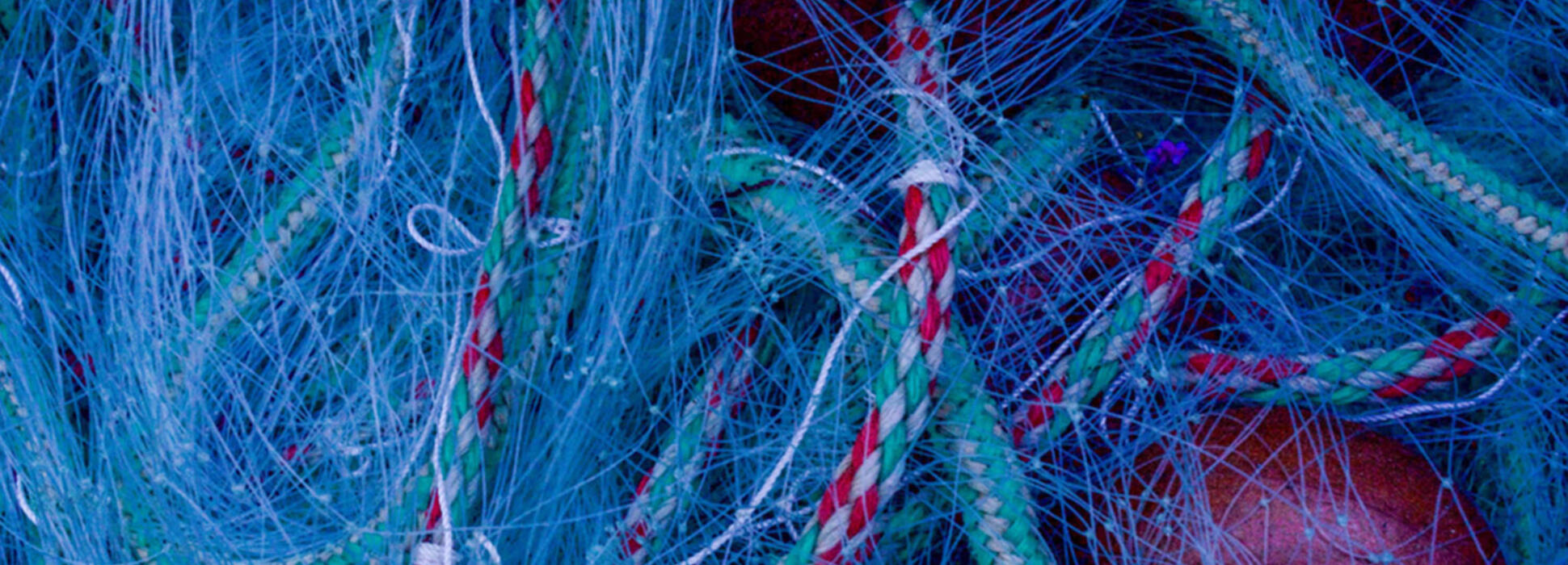 Seabird multiplie ses capacités de production industrielle