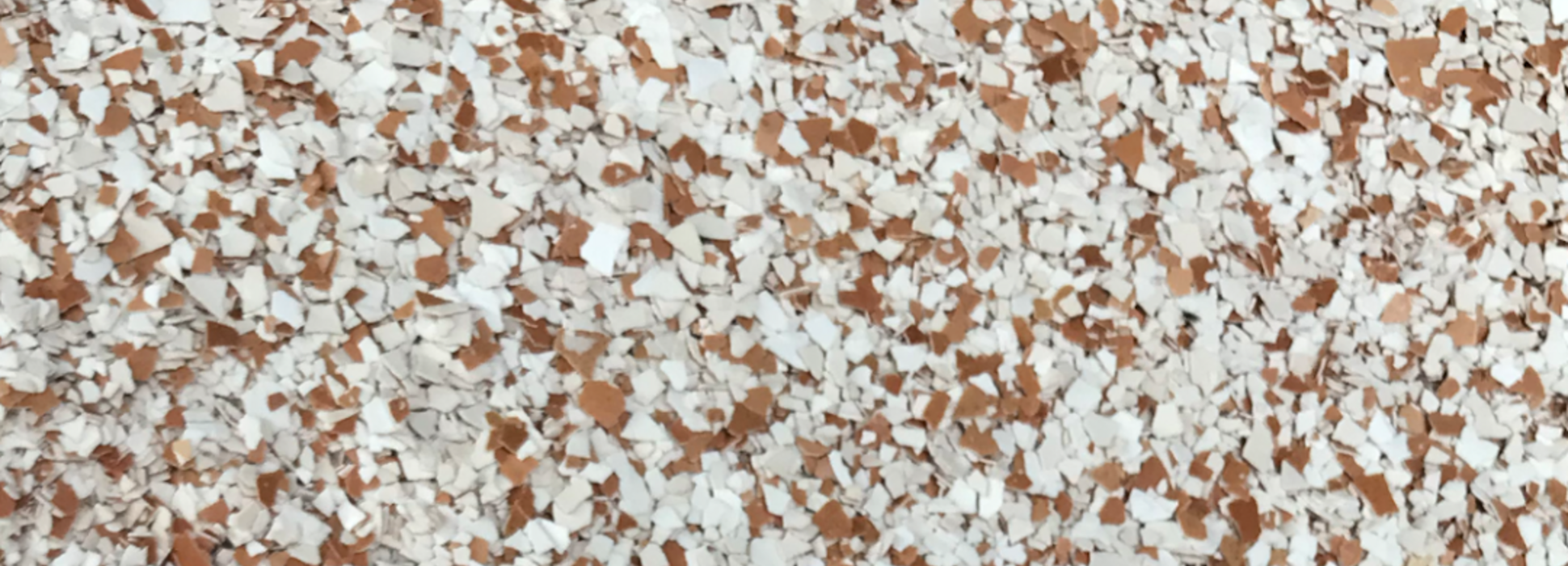 Dans le Morbihan, TERREMO’LOGIC recycle les coquilles d’œufs