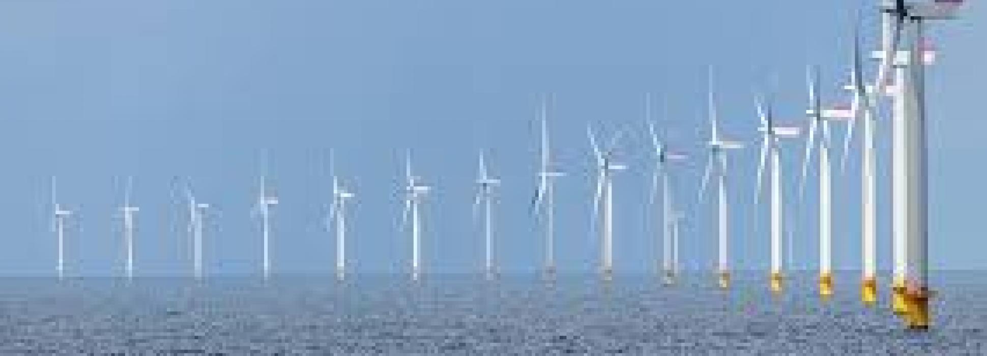 Representantes de seis puertos eólicos líderes afrontan juntos el reto de la energía eólica en Europa