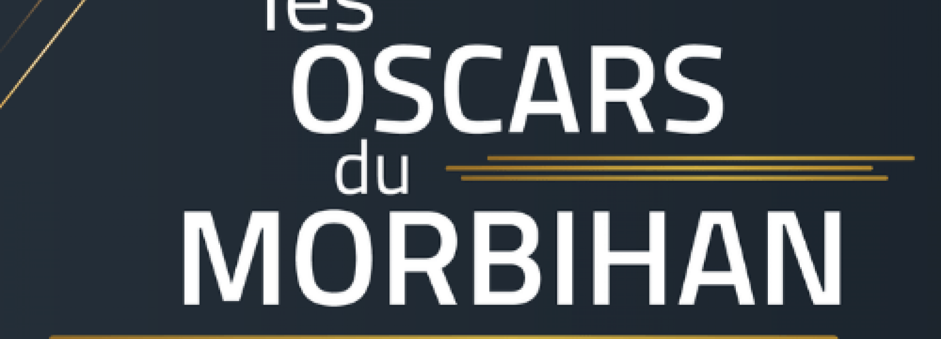 Les Oscars du Morbihan ont mis en lumière huit entreprises innovantes
