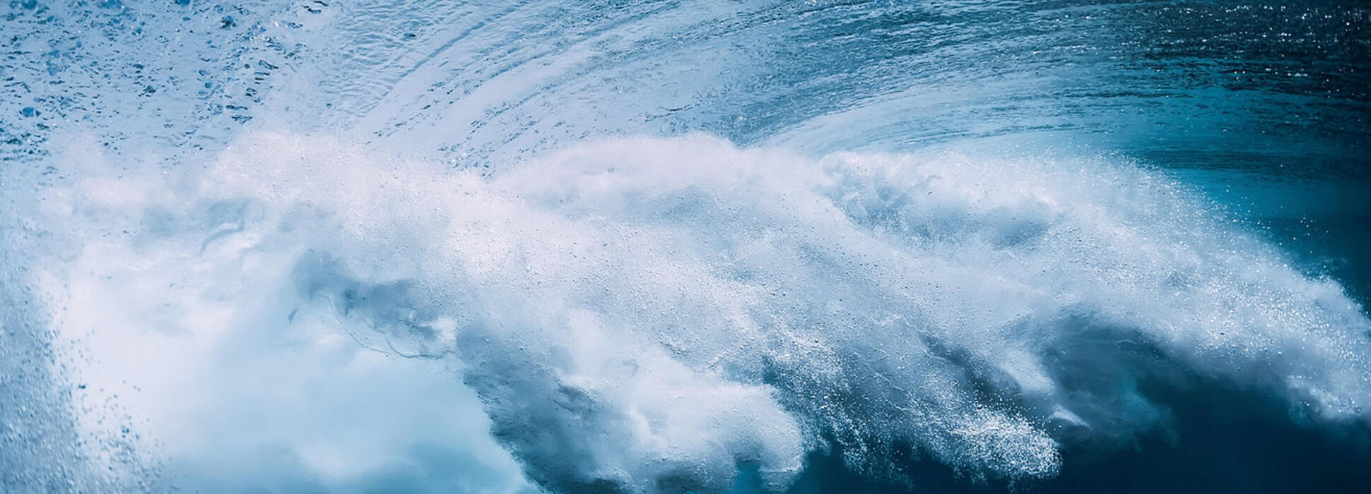 Abyss Ingrédients innove dans les biotechnologies marines