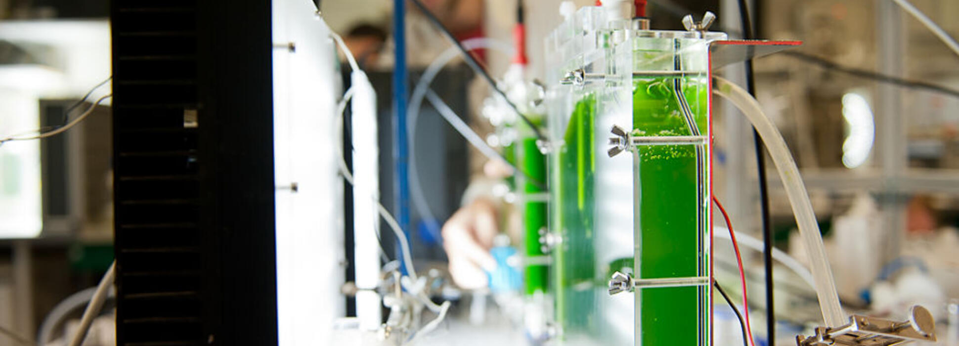 La plateforme pour la recherche mondiale sur les microalgues AlgoSolis agrandit ses locaux près de Saint-Nazaire