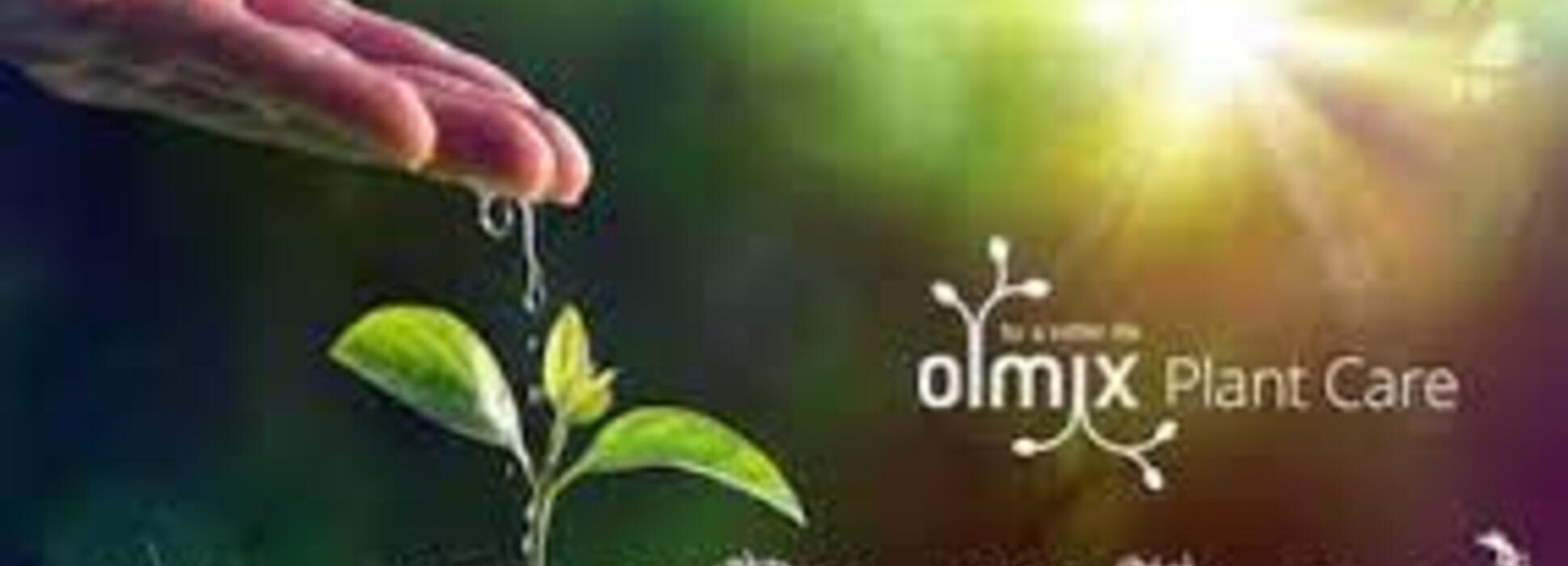 Le biostimulant Linew ® produit par Olmix décroche la validation européenne