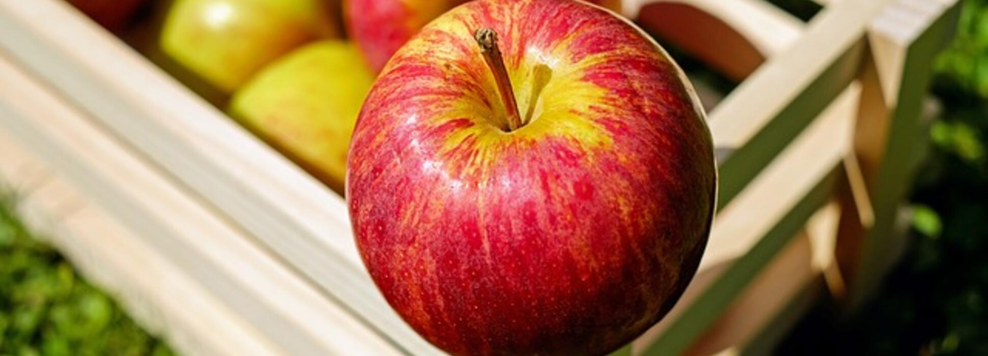 Guide touristique : Caen et la route du cidre