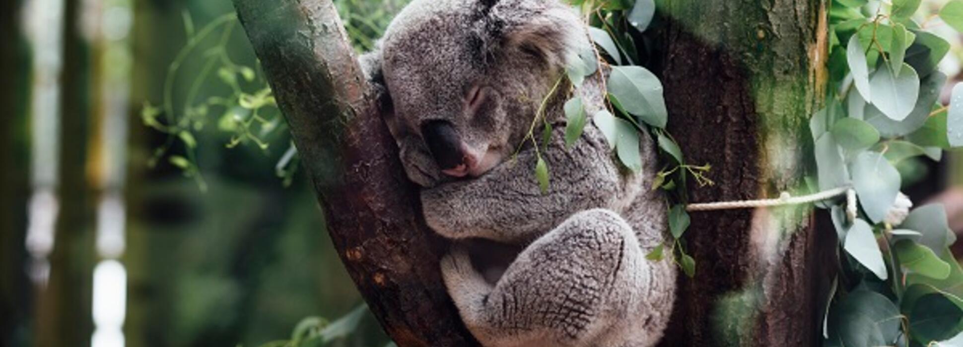 10 astuces pour mieux dormir