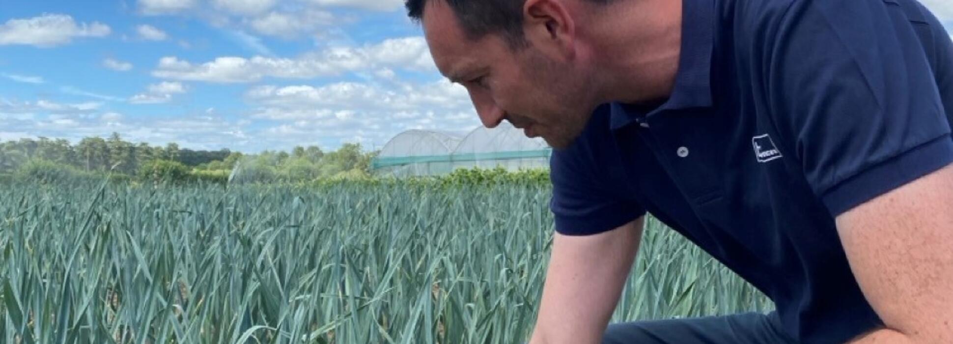 BCF Life Sciences lance un deuxième brevet sur la biostimulation des plantes