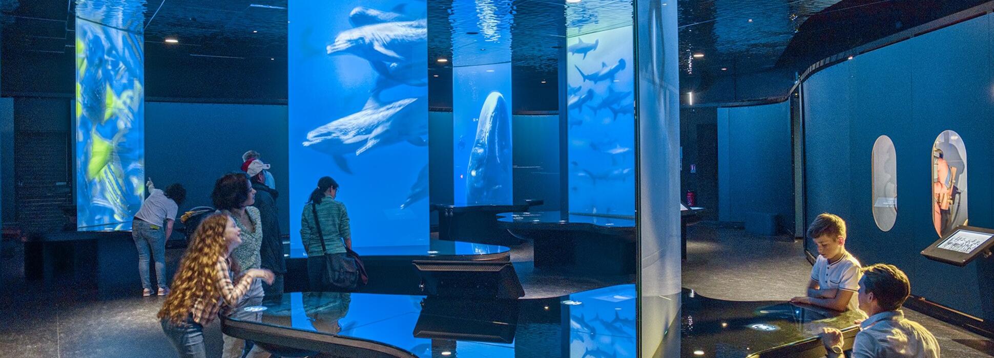 La Cité de la Mer, locomotive touristique du Cotentin