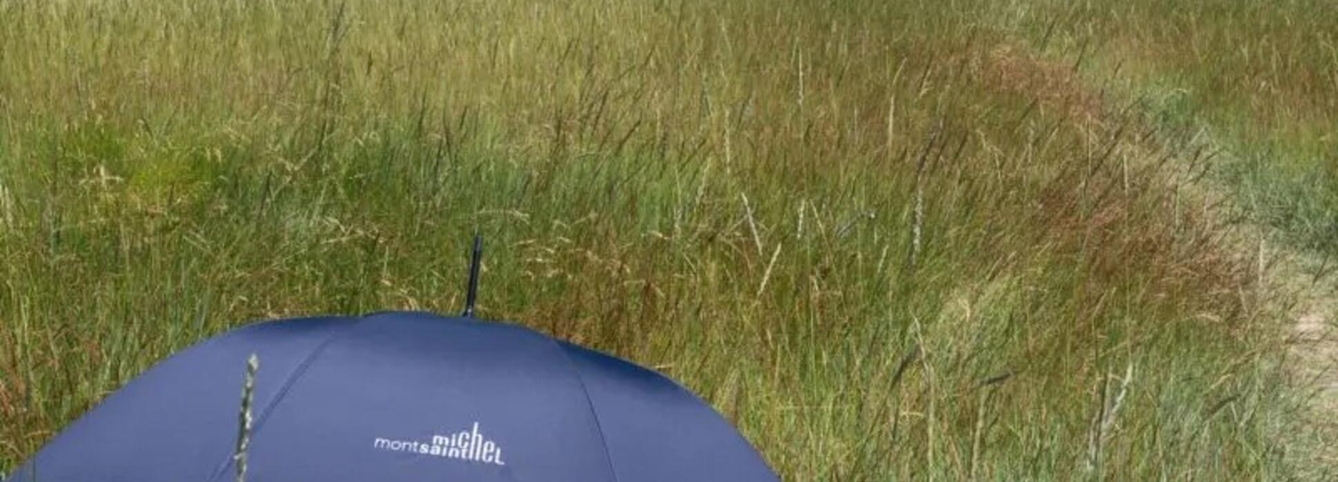 Le Parapluie de Cherbourg et le Mont Saint-Michel s’associent pour une création inédite
